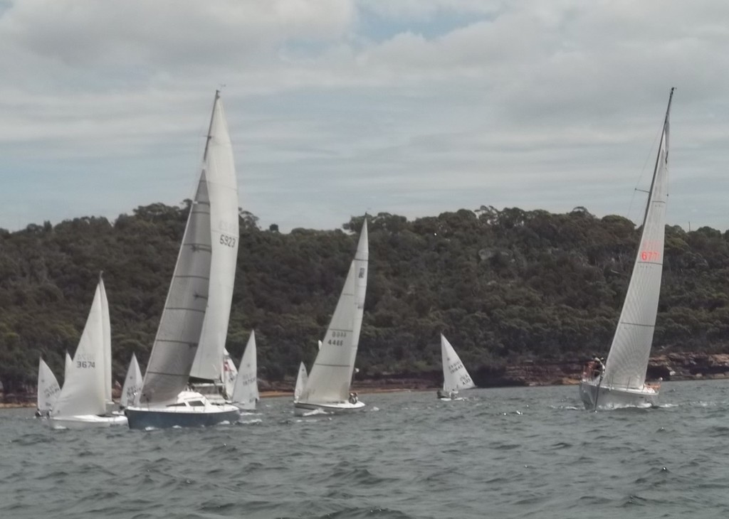 Vaucluse Regatta Yacht Fleet - Photo Erin McKnight - Vaucluse Regatta © Erin McKnight